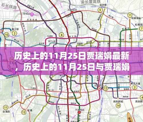 历史上的贾瑞娟,揭秘其在11月25日的深远影响与贡献