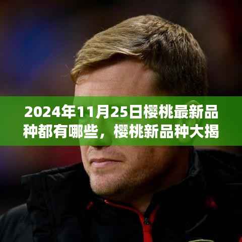 秋日探秘之旅,揭秘樱桃新品种,带你领略最新樱桃风味