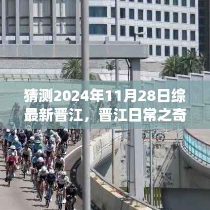 2024年11月28日晋江日常奇妙时光,温馨友谊之旅