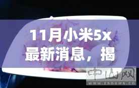 揭秘巷弄深处,小米5X新动态闪耀特色小店,11月最新消息速递