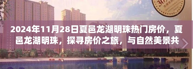 夏邑龙湖明珠房价探寻之旅,与自然美景共舞的心灵之旅(2024年11月房价更新)