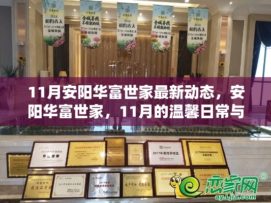 11月安阳华富世家,最新动态与温馨日常的友情绽放