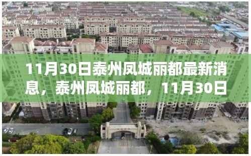 泰州凤城丽都最新动态,11月30日更新与深远影响揭秘