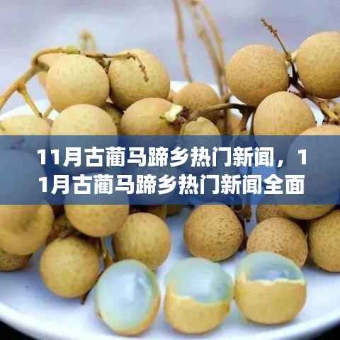 11月古蔺马蹄乡热门新闻全面解析,特性、体验与目标用户群体深度剖析