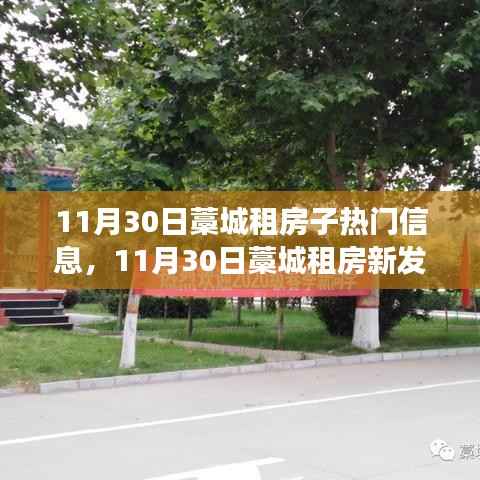 11月30日藁城租房新发现,与自然共舞,心灵之旅启程