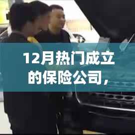 新保险公司的日常故事,友情、家庭与爱的温暖相伴,十二月热门新成立公司一览