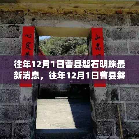 往年12月1日曹县磐石明珠最新消息概览