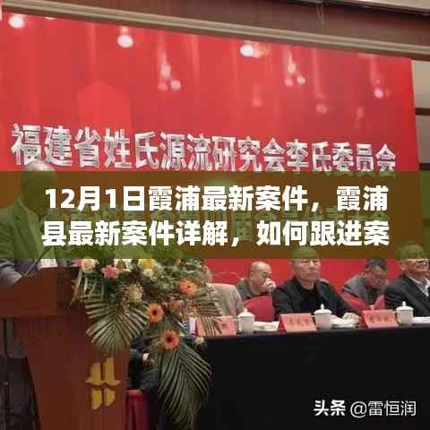 霞浦县最新案件详解及应对步骤指南,从初学者到进阶用户的全方位跟进