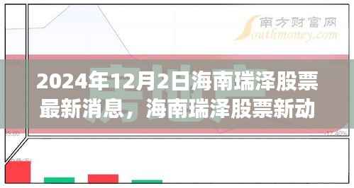 海南瑞泽股票最新动态,学习变革力量,铸就成功辉煌