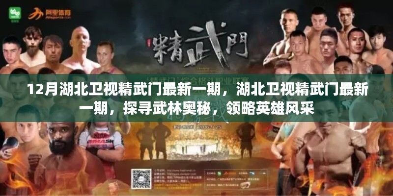 湖北卫视精武门最新一期,探寻武林奥秘,展现英雄风采