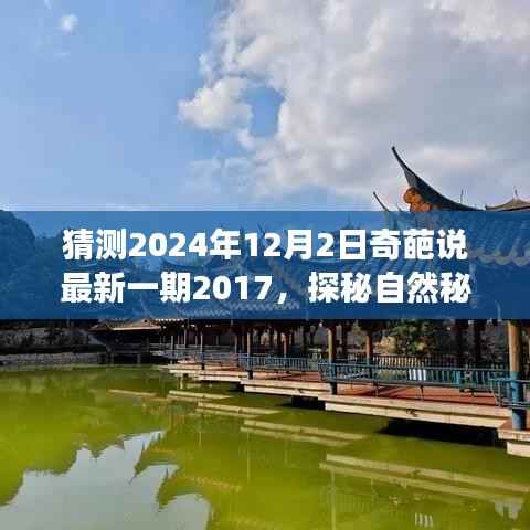 探秘自然秘境,奇葩说带你启程寻找内心平静之旅(最新一期2017年预测)