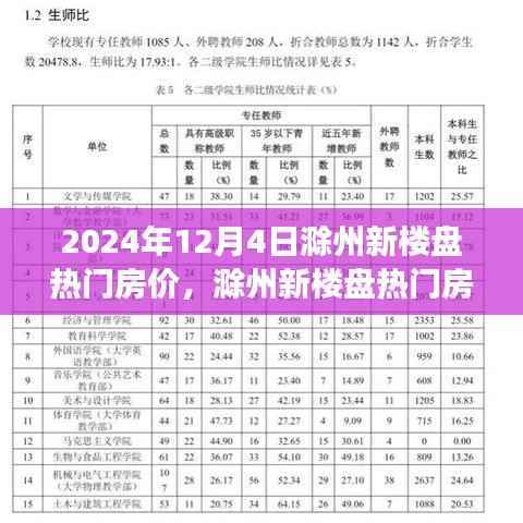 2024年12月4日滁州新楼盘热门房价深度观察及评测