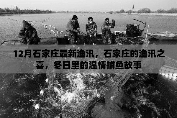 石家庄冬季渔汛盛况,温情捕鱼故事与渔汛之喜