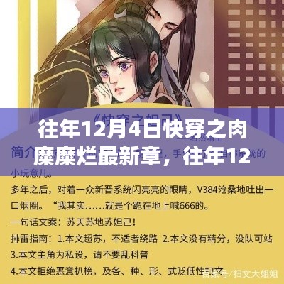 往年12月4日快穿之肉糜糜烂最新章，深度解析与探索