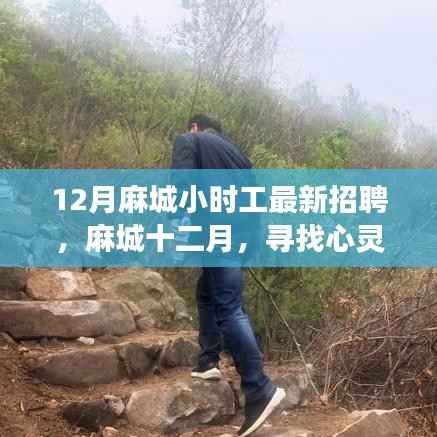 麻城十二月小时工最新招聘,心灵之旅的启程