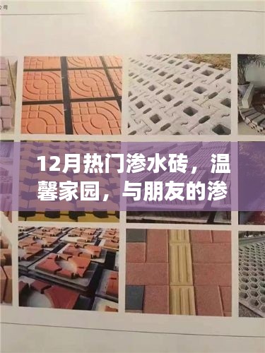 温馨家园与朋友的渗水砖奇遇,揭秘12月热门渗水砖的秘密