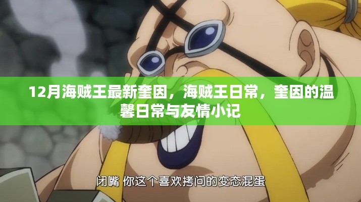 海贼王奎因的日常与友情篇章,温馨瞬间记录