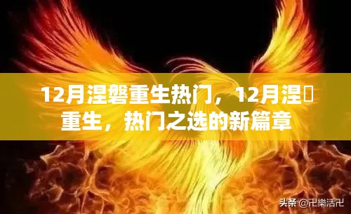 鸟哭猿啼 第4页