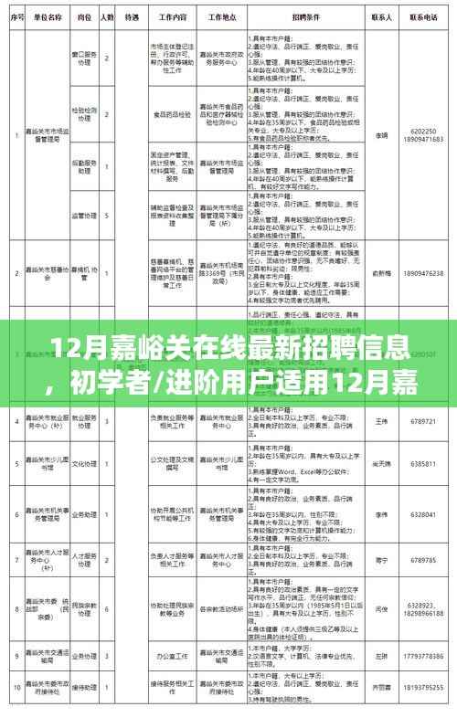 12月嘉峪关最新在线招聘信息大全,初学者与进阶用户的求职攻略