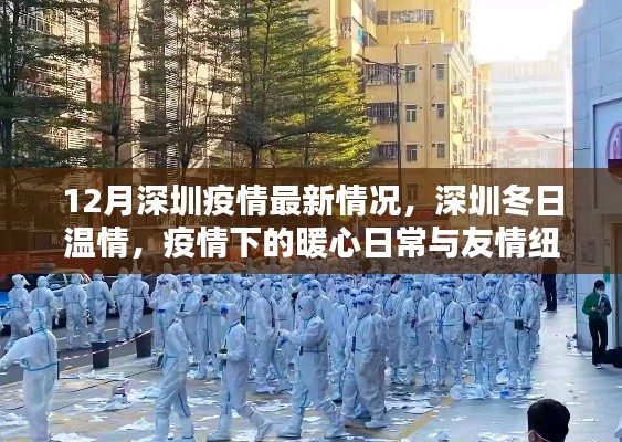 深圳冬季疫情最新动态,温情日常与友情纽带