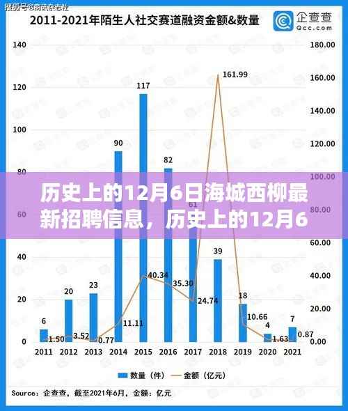历史上的12月6日海城西柳最新招聘信息深度解析及解读