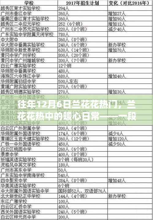 往年12月6日兰花花热门,兰花花热中的暖心日常——一段关于友情与陪伴的温馨故事