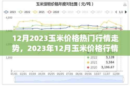 深度解析,2023年12月玉米价格行情走势,背景、事件与地位探究