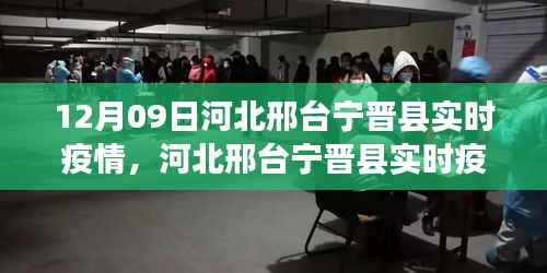 河北邢台宁晋县实时疫情动态深度解析与案例分析(最新更新)