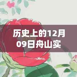 揭秘,历史上的舟山市动态地图最新消息及实时动态追踪(12月09日)