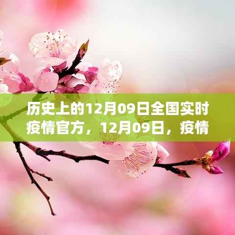 疫情之下的心灵自然之旅,全国实时疫情官方通报与历史回顾,12月09日当日纪事