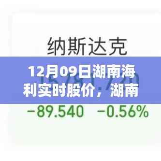 湖南海利股价动态及在特定领域的影响力分析