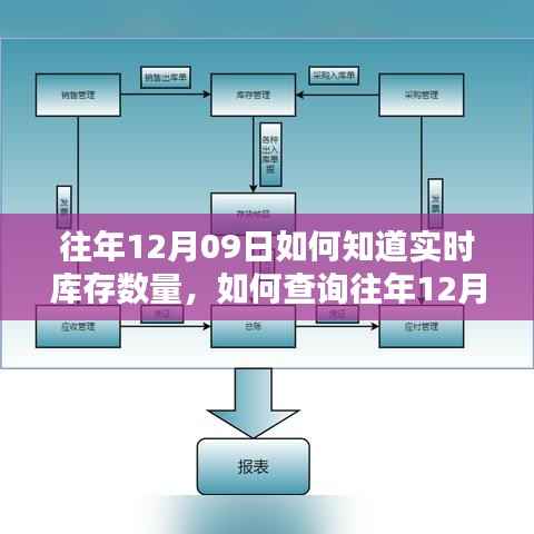 往年12月09日实时库存查询,初学者与进阶用户指南教你如何操作!