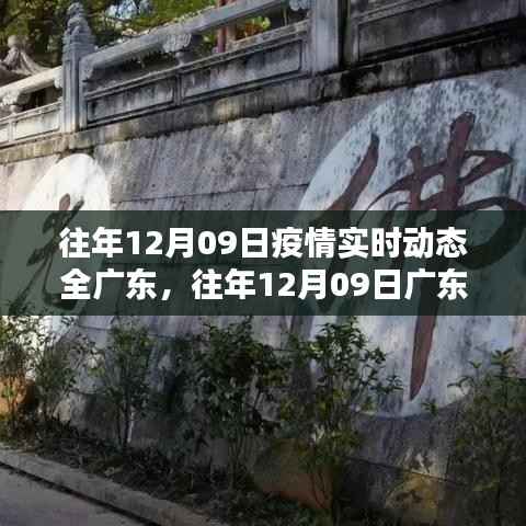 往年12月09日广东疫情实时动态概览及分析