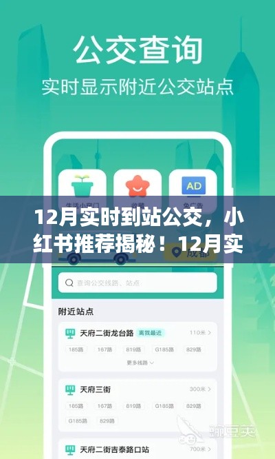 小红书推荐揭秘,12月实时到站公交攻略,轻松出行必备!