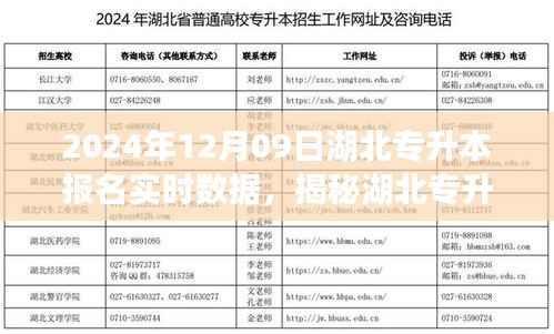 揭秘湖北专升本报名新神器,实时数据追踪开启智能报名新时代(实时更新至2024年12月09日)