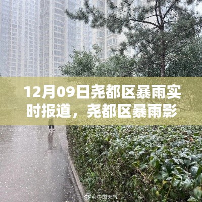 尧都区暴雨实况报道,影响下的正反观点探讨
