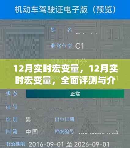 全面评测与介绍,12月实时宏变量