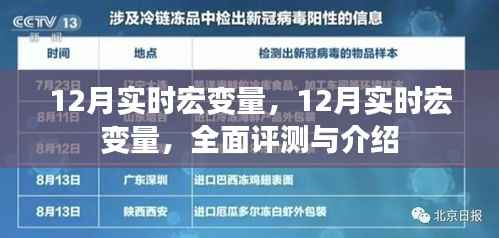 全面评测与介绍,12月实时宏变量