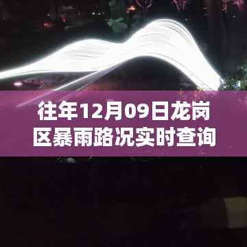 探秘暴雨中的龙岗秘境,实时路况查询与小巷深处的独特风情与隐藏美味(往年12月09日龙岗区暴雨实况)