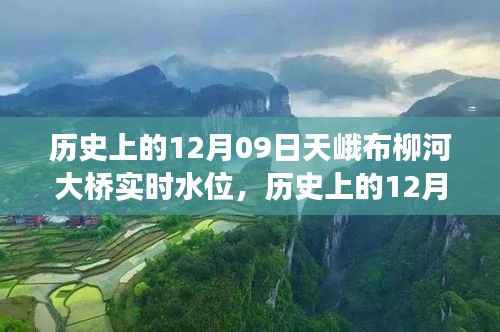 历史上的天峨布柳河大桥实时水位变迁纪实,揭秘12月09日的水位变化与变迁历程