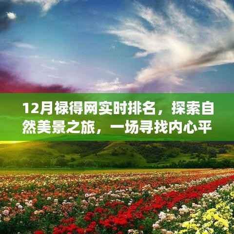 探索自然美景之旅,十二月禄得网实时排名与心灵之旅的启程