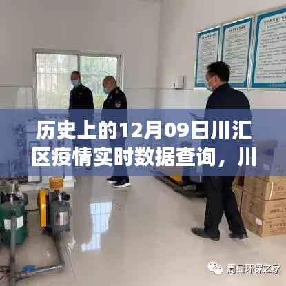川汇区疫情下的静谧时光与实时数据追踪,自然探索之旅