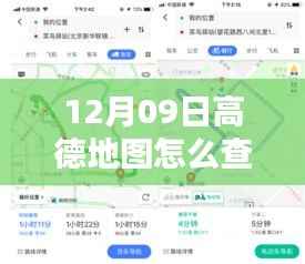 高德地图实时路况查询,暖心时刻与共享查车日常