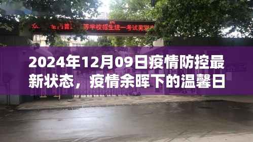 疫情余晖下的温馨日常,2024年12月9日疫情防控最新状态与阳光记忆
