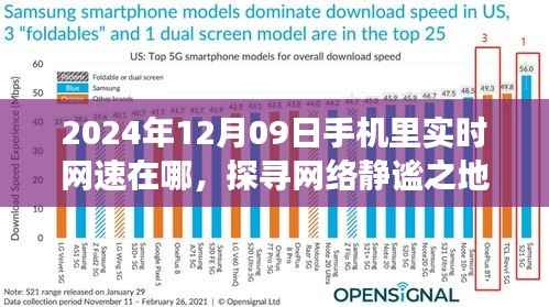 探寻网络静谧之地,心灵与自然的网速之旅(实时网速查询指南)