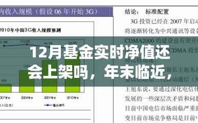 年末基金实时净值预测,十二月上架的可能性与深度解析