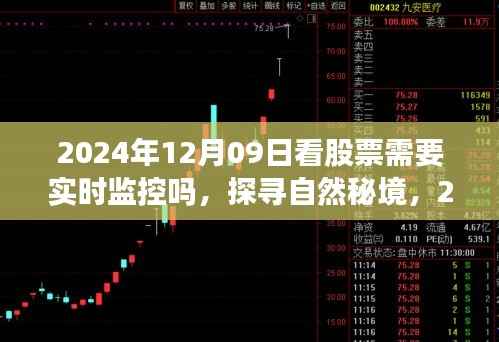 股票监控与心灵旅行的探索,探寻自然秘境与实时股市监控的双重挑战(2024年12月09日)