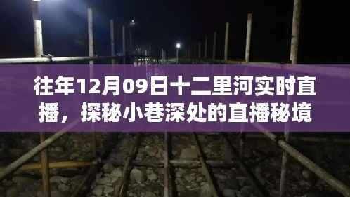 探秘十二里河直播秘境,实时直播特色小店的日常
