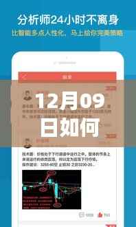 12月09日实时查询菜价,开启智慧生活,掌握未来从指尖出发