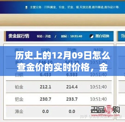 温馨探秘,历史上的金价实时追踪与查金价之旅的启示